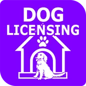 Dog Licensing